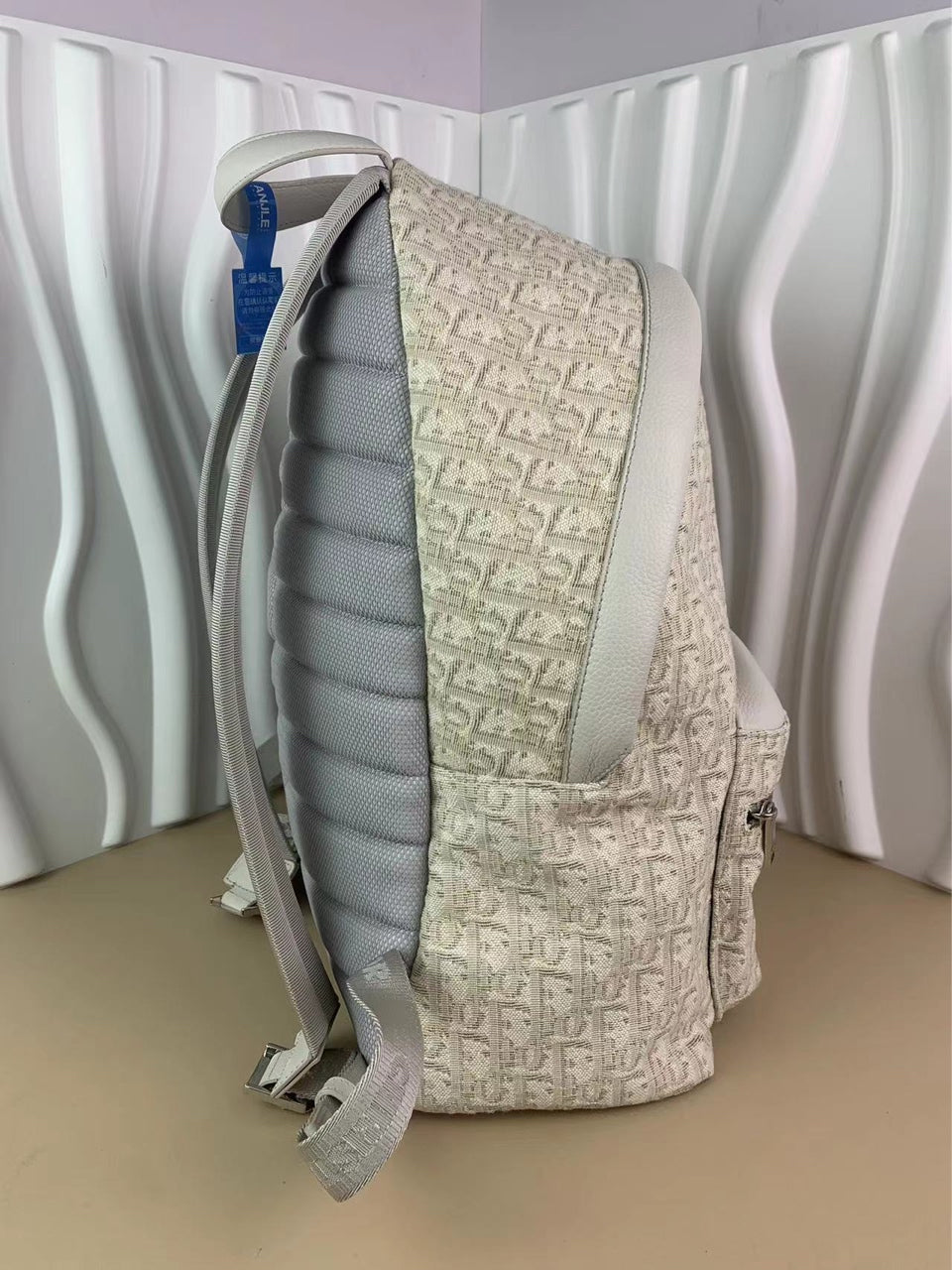 Dior Rider Classic Embroidered Monogram Backpack